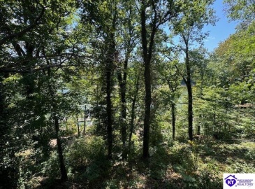 Rough River Resort, McDaniels, Kentucky 40152, ,1 BathroomBathrooms,For Sale,Rough River Resort,HK24003438 Rough River Resort, McDaniels, Kentucky 40152, ,1 BathroomBathrooms,For Sale,Rough River Resort,HK24003438