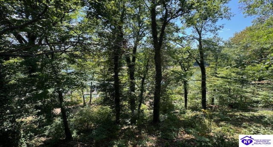 Rough River Resort, McDaniels, Kentucky 40152, ,1 BathroomBathrooms,For Sale,Rough River Resort,HK24003438