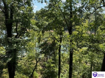 Rough River Resort, McDaniels, Kentucky 40152, ,2 BathroomsBathrooms,For Sale,Rough River Resort,HK24003440 Rough River Resort, McDaniels, Kentucky 40152, ,2 BathroomsBathrooms,For Sale,Rough River Resort,HK24003440