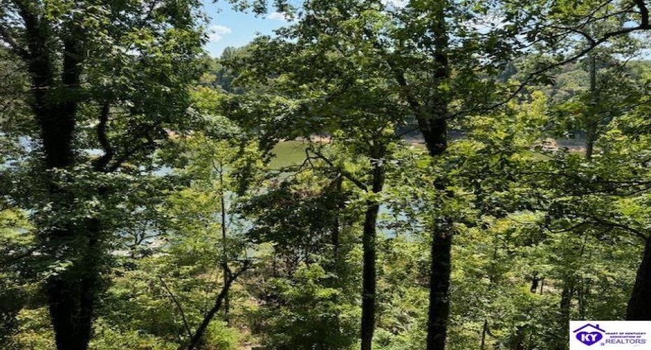 Rough River Resort, McDaniels, Kentucky 40152, ,2 BathroomsBathrooms,For Sale,Rough River Resort,HK24003440 Rough River Resort, McDaniels, Kentucky 40152, ,2 BathroomsBathrooms,For Sale,Rough River Resort,HK24003440