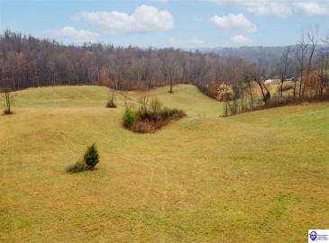 Waldeck Road, Bonnieville, Kentucky 42713, ,For Sale,Waldeck Road,HK24003458 Waldeck Road, Bonnieville, Kentucky 42713, ,For Sale,Waldeck Road,HK24003458