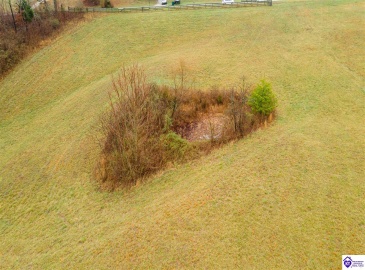 Waldeck Road, Bonnieville, Kentucky 42713, ,For Sale,Waldeck Road,HK24003458 Waldeck Road, Bonnieville, Kentucky 42713, ,For Sale,Waldeck Road,HK24003458