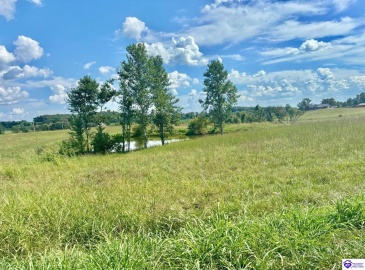 Sanders Road, Campbellsville, Kentucky 42718, ,2 BathroomsBathrooms,For Sale,Sanders Road,HK24003486 Sanders Road, Campbellsville, Kentucky 42718, ,2 BathroomsBathrooms,For Sale,Sanders Road,HK24003486