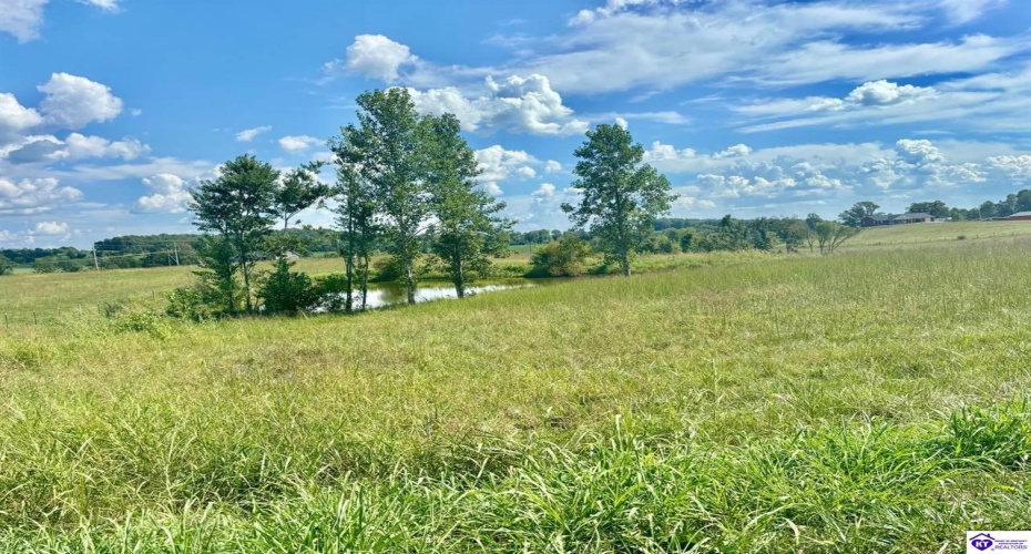 Sanders Road, Campbellsville, Kentucky 42718, ,2 BathroomsBathrooms,For Sale,Sanders Road,HK24003486