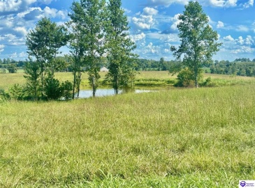 Sanders Road, Campbellsville, Kentucky 42718, ,2 BathroomsBathrooms,For Sale,Sanders Road,HK24003486 Sanders Road, Campbellsville, Kentucky 42718, ,2 BathroomsBathrooms,For Sale,Sanders Road,HK24003486