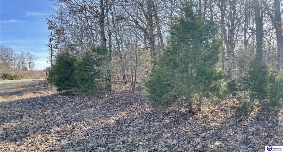 Highway 629, Falls Of Rough, Kentucky 40119, ,For Sale,Highway 629,HK24000352 Highway 629, Falls Of Rough, Kentucky 40119, ,For Sale,Highway 629,HK24000352