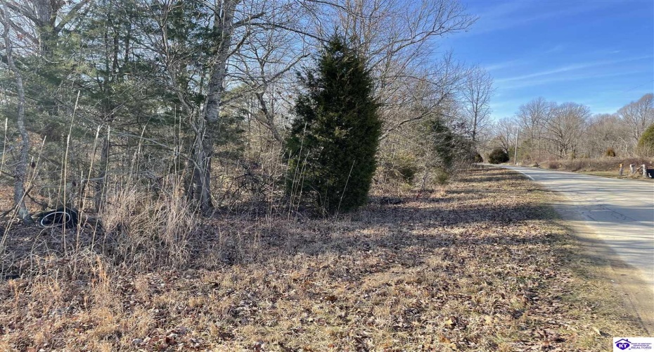 Highway 629, Falls Of Rough, Kentucky 40119, ,For Sale,Highway 629,HK24000352