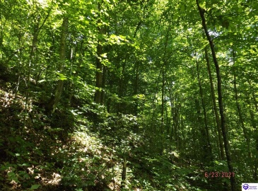 Roaring Fork Rd, Barbourville, Kentucky 40997, ,For Sale,Roaring Fork Rd,HK24003505 Roaring Fork Rd, Barbourville, Kentucky 40997, ,For Sale,Roaring Fork Rd,HK24003505