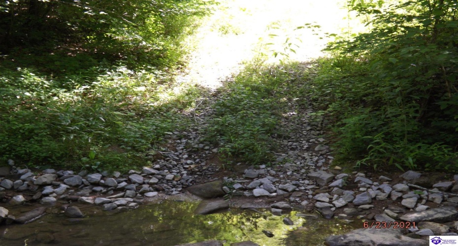 Roaring Fork Rd, Barbourville, Kentucky 40997, ,For Sale,Roaring Fork Rd,HK24003505