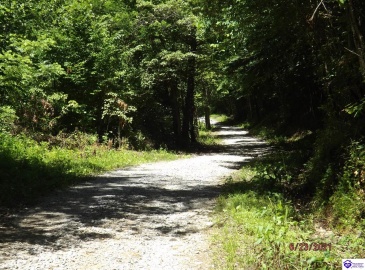 Level to slightly undulating Level to slightly undulating