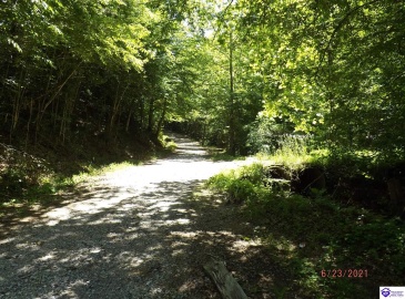 Roaring Fork Rd, Barbourville, Kentucky 40997, ,For Sale,Roaring Fork Rd,HK24003505 Roaring Fork Rd, Barbourville, Kentucky 40997, ,For Sale,Roaring Fork Rd,HK24003505