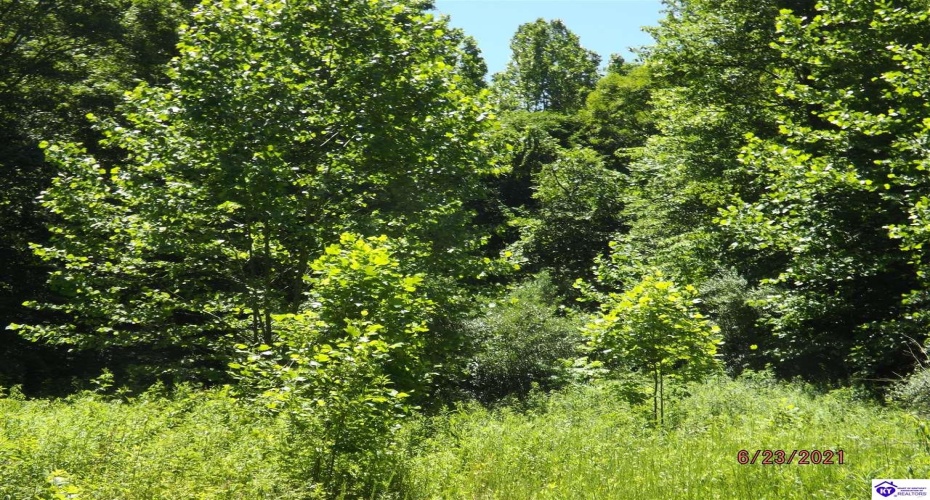 Roaring Fork Rd, Barbourville, Kentucky 40997, ,For Sale,Roaring Fork Rd,HK24003505 Roaring Fork Rd, Barbourville, Kentucky 40997, ,For Sale,Roaring Fork Rd,HK24003505