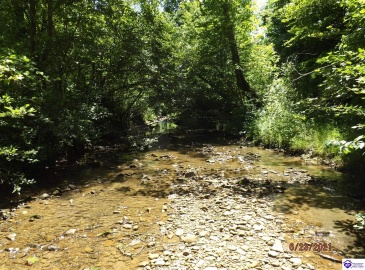 Roaring Fork Rd, Barbourville, Kentucky 40997, ,For Sale,Roaring Fork Rd,HK24003505 Roaring Fork Rd, Barbourville, Kentucky 40997, ,For Sale,Roaring Fork Rd,HK24003505