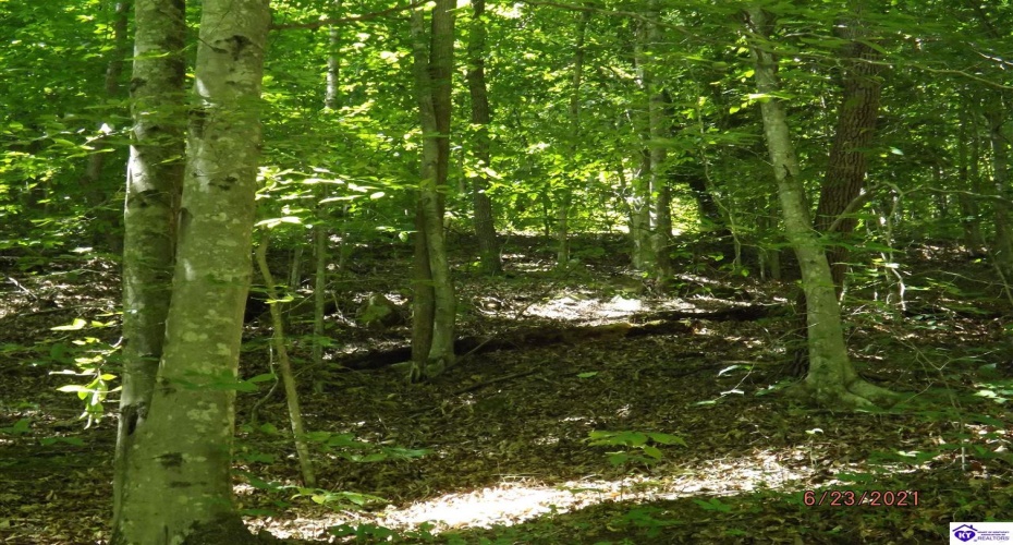 Roaring Fork Rd, Barbourville, Kentucky 40997, ,For Sale,Roaring Fork Rd,HK24003505 Roaring Fork Rd, Barbourville, Kentucky 40997, ,For Sale,Roaring Fork Rd,HK24003505