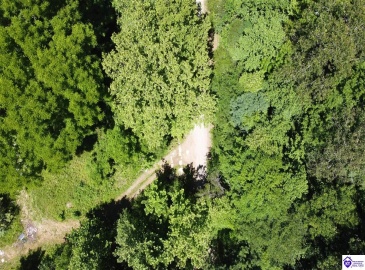 Kinngham Rd, Barbourville, Kentucky 40997, ,For Sale,Kinngham Rd,HK24003506 Kinngham Rd, Barbourville, Kentucky 40997, ,For Sale,Kinngham Rd,HK24003506