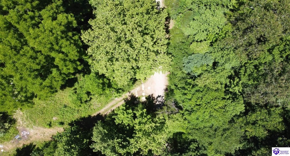 Kinngham Rd, Barbourville, Kentucky 40997, ,For Sale,Kinngham Rd,HK24003506 Kinngham Rd, Barbourville, Kentucky 40997, ,For Sale,Kinngham Rd,HK24003506