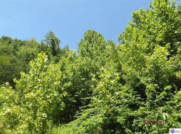 Kinngham Rd, Barbourville, Kentucky 40997, ,For Sale,Kinngham Rd,HK24003506 Kinngham Rd, Barbourville, Kentucky 40997, ,For Sale,Kinngham Rd,HK24003506