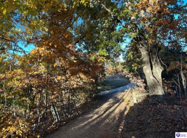 Rocky Hill Road, Bonnieville, Kentucky 42713, ,For Sale,Rocky Hill Road,HK24003520 Rocky Hill Road, Bonnieville, Kentucky 42713, ,For Sale,Rocky Hill Road,HK24003520