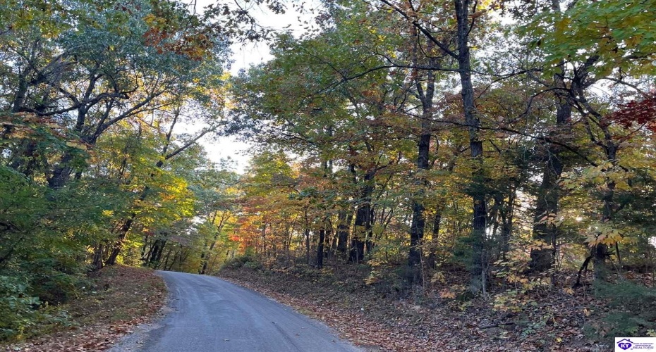 Rocky Hill Road, Bonnieville, Kentucky 42713, ,For Sale,Rocky Hill Road,HK24003520 Rocky Hill Road, Bonnieville, Kentucky 42713, ,For Sale,Rocky Hill Road,HK24003520