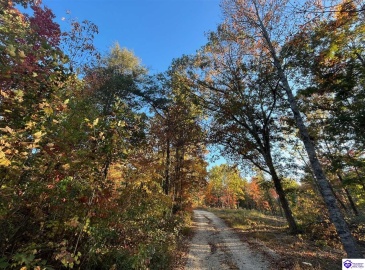 Rocky Hill Road, Bonnieville, Kentucky 42713, ,For Sale,Rocky Hill Road,HK24003520 Rocky Hill Road, Bonnieville, Kentucky 42713, ,For Sale,Rocky Hill Road,HK24003520