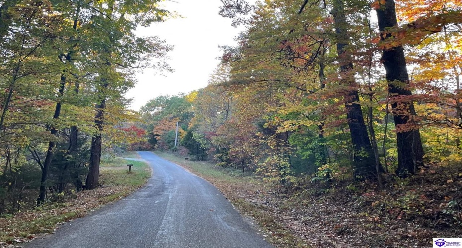 Rocky Hill Road, Bonnieville, Kentucky 42713, ,For Sale,Rocky Hill Road,HK24003520 Rocky Hill Road, Bonnieville, Kentucky 42713, ,For Sale,Rocky Hill Road,HK24003520