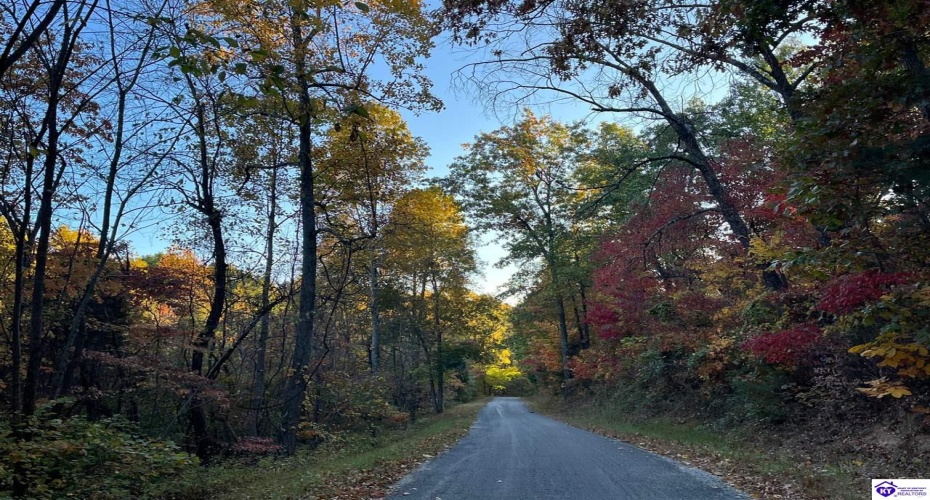 Rocky Hill Road, Bonnieville, Kentucky 42713, ,For Sale,Rocky Hill Road,HK24003520 Rocky Hill Road, Bonnieville, Kentucky 42713, ,For Sale,Rocky Hill Road,HK24003520