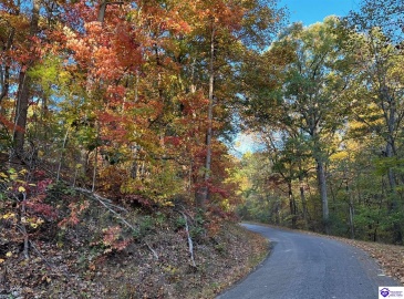 Rocky Hill Road, Bonnieville, Kentucky 42713, ,For Sale,Rocky Hill Road,HK24003520 Rocky Hill Road, Bonnieville, Kentucky 42713, ,For Sale,Rocky Hill Road,HK24003520