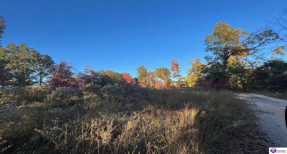 Rocky Hill Road, Bonnieville, Kentucky 42713, ,For Sale,Rocky Hill Road,HK24003520 Rocky Hill Road, Bonnieville, Kentucky 42713, ,For Sale,Rocky Hill Road,HK24003520