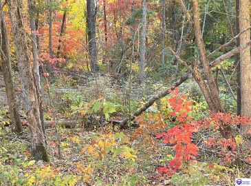 Rocky Hill Road, Bonnieville, Kentucky 42713, ,For Sale,Rocky Hill Road,HK24003520 Rocky Hill Road, Bonnieville, Kentucky 42713, ,For Sale,Rocky Hill Road,HK24003520