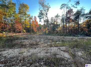 Rocky Hill Road, Bonnieville, Kentucky 42713, ,For Sale,Rocky Hill Road,HK24003520 Rocky Hill Road, Bonnieville, Kentucky 42713, ,For Sale,Rocky Hill Road,HK24003520