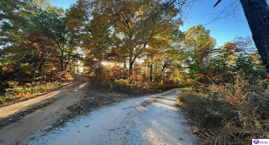Rocky Hill Road, Bonnieville, Kentucky 42713, ,For Sale,Rocky Hill Road,HK24003520 Rocky Hill Road, Bonnieville, Kentucky 42713, ,For Sale,Rocky Hill Road,HK24003520
