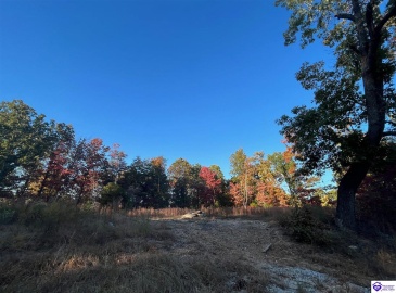 Rocky Hill Road, Bonnieville, Kentucky 42713, ,For Sale,Rocky Hill Road,HK24003520 Rocky Hill Road, Bonnieville, Kentucky 42713, ,For Sale,Rocky Hill Road,HK24003520