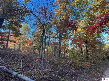 Rocky Hill Road, Bonnieville, Kentucky 42713, ,For Sale,Rocky Hill Road,HK24003520 Rocky Hill Road, Bonnieville, Kentucky 42713, ,For Sale,Rocky Hill Road,HK24003520