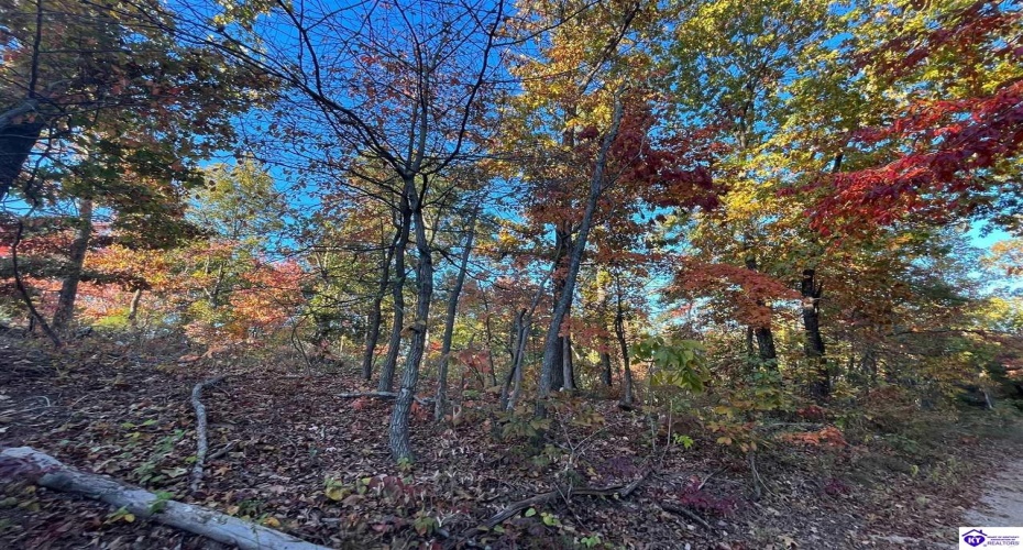 Rocky Hill Road, Bonnieville, Kentucky 42713, ,For Sale,Rocky Hill Road,HK24003520 Rocky Hill Road, Bonnieville, Kentucky 42713, ,For Sale,Rocky Hill Road,HK24003520