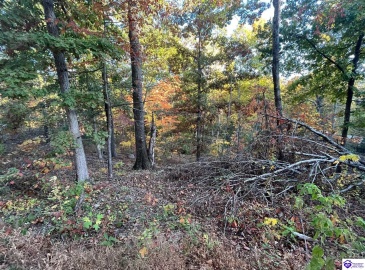 Rocky Hill Road, Bonnieville, Kentucky 42713, ,For Sale,Rocky Hill Road,HK24003520 Rocky Hill Road, Bonnieville, Kentucky 42713, ,For Sale,Rocky Hill Road,HK24003520