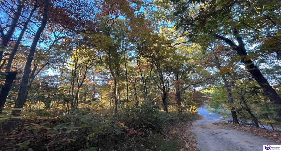 Rocky Hill Road, Bonnieville, Kentucky 42713, ,For Sale,Rocky Hill Road,HK24003520 Rocky Hill Road, Bonnieville, Kentucky 42713, ,For Sale,Rocky Hill Road,HK24003520