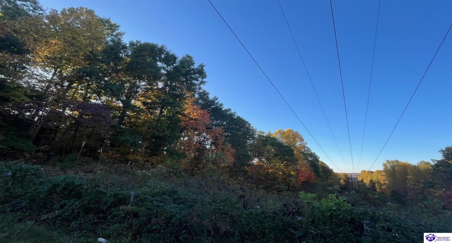 Rocky Hill Road, Bonnieville, Kentucky 42713, ,For Sale,Rocky Hill Road,HK24003520 Rocky Hill Road, Bonnieville, Kentucky 42713, ,For Sale,Rocky Hill Road,HK24003520