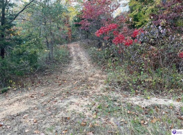 Rocky Hill Road, Bonnieville, Kentucky 42713, ,For Sale,Rocky Hill Road,HK24003520 Rocky Hill Road, Bonnieville, Kentucky 42713, ,For Sale,Rocky Hill Road,HK24003520