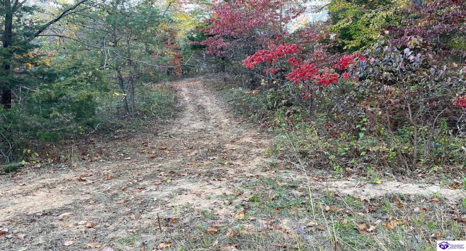 Rocky Hill Road, Bonnieville, Kentucky 42713, ,For Sale,Rocky Hill Road,HK24003520 Rocky Hill Road, Bonnieville, Kentucky 42713, ,For Sale,Rocky Hill Road,HK24003520