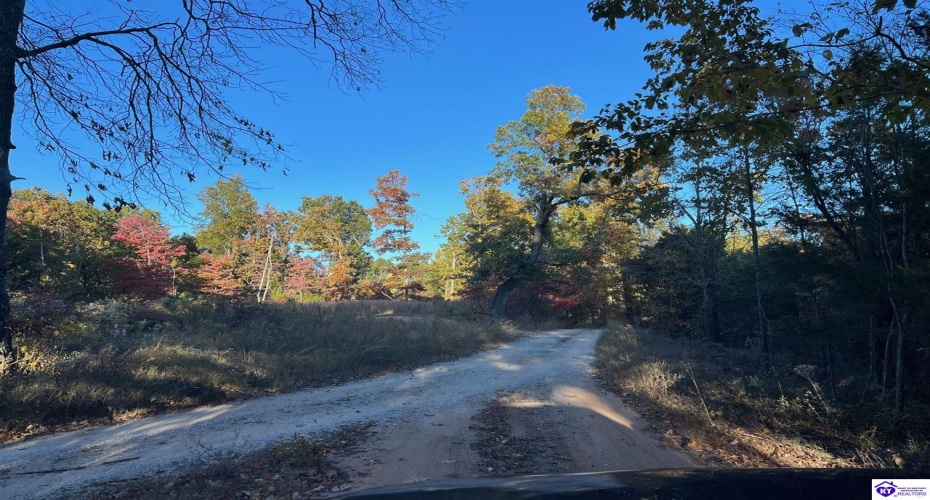 Rocky Hill Road, Bonnieville, Kentucky 42713, ,For Sale,Rocky Hill Road,HK24003520 Rocky Hill Road, Bonnieville, Kentucky 42713, ,For Sale,Rocky Hill Road,HK24003520