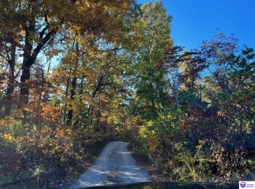 Rocky Hill Road, Bonnieville, Kentucky 42713, ,For Sale,Rocky Hill Road,HK24003520 Rocky Hill Road, Bonnieville, Kentucky 42713, ,For Sale,Rocky Hill Road,HK24003520