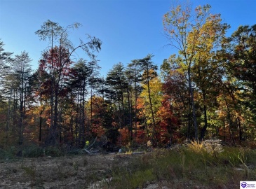 Rocky Hill Road, Bonnieville, Kentucky 42713, ,For Sale,Rocky Hill Road,HK24003520 Rocky Hill Road, Bonnieville, Kentucky 42713, ,For Sale,Rocky Hill Road,HK24003520