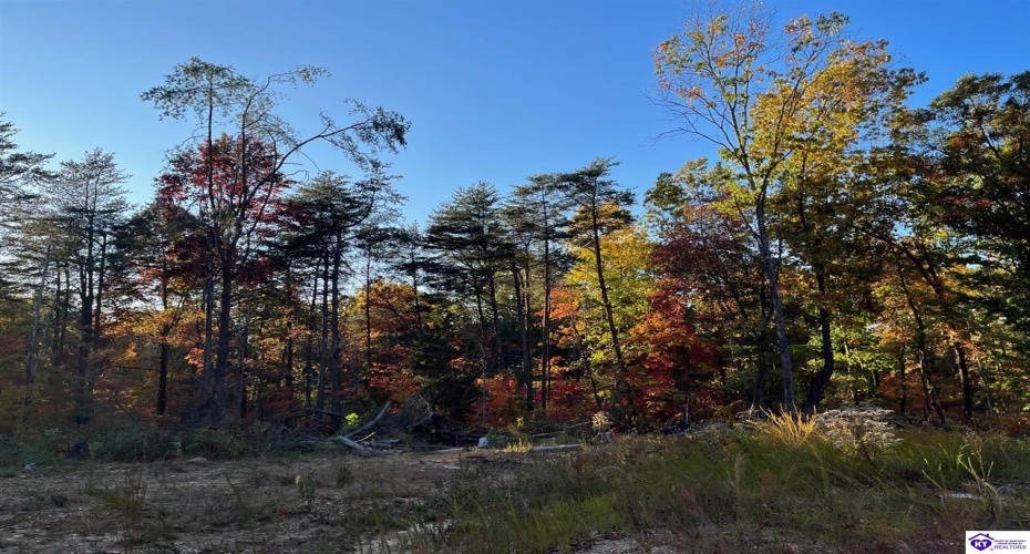 Rocky Hill Road, Bonnieville, Kentucky 42713, ,For Sale,Rocky Hill Road,HK24003520 Rocky Hill Road, Bonnieville, Kentucky 42713, ,For Sale,Rocky Hill Road,HK24003520