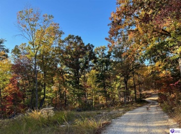 Rocky Hill Road, Bonnieville, Kentucky 42713, ,For Sale,Rocky Hill Road,HK24003520 Rocky Hill Road, Bonnieville, Kentucky 42713, ,For Sale,Rocky Hill Road,HK24003520