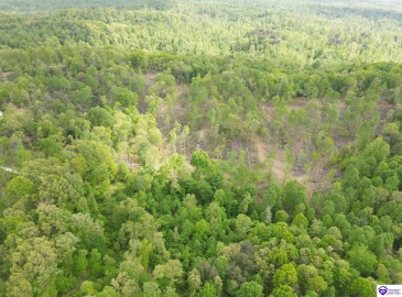 Rocky Hill Road, Bonnieville, Kentucky 42713, ,For Sale,Rocky Hill Road,HK24003520 Rocky Hill Road, Bonnieville, Kentucky 42713, ,For Sale,Rocky Hill Road,HK24003520