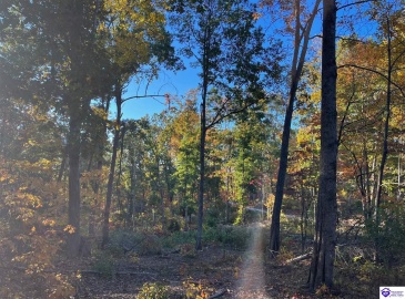 Rocky Hill Road, Bonnieville, Kentucky 42713, ,For Sale,Rocky Hill Road,HK24003520 Rocky Hill Road, Bonnieville, Kentucky 42713, ,For Sale,Rocky Hill Road,HK24003520