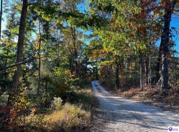 Rocky Hill Road, Bonnieville, Kentucky 42713, ,For Sale,Rocky Hill Road,HK24003520 Rocky Hill Road, Bonnieville, Kentucky 42713, ,For Sale,Rocky Hill Road,HK24003520