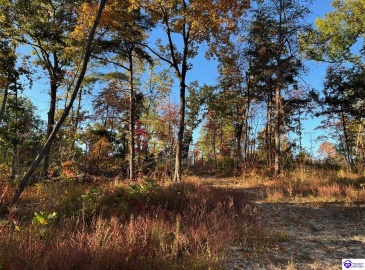 Rocky Hill Road, Bonnieville, Kentucky 42713, ,For Sale,Rocky Hill Road,HK24003520 Rocky Hill Road, Bonnieville, Kentucky 42713, ,For Sale,Rocky Hill Road,HK24003520