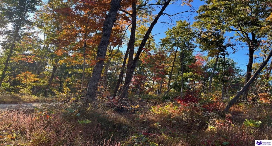 Rocky Hill Road, Bonnieville, Kentucky 42713, ,For Sale,Rocky Hill Road,HK24003520 Rocky Hill Road, Bonnieville, Kentucky 42713, ,For Sale,Rocky Hill Road,HK24003520