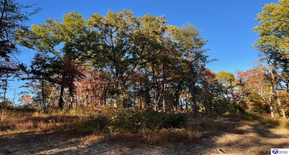 Rocky Hill Road, Bonnieville, Kentucky 42713, ,For Sale,Rocky Hill Road,HK24003520